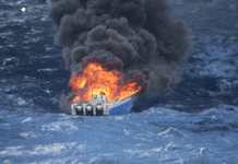 Narco-camaleonti narcolancia bombardata