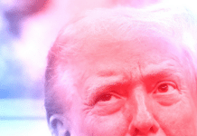 Trump, in guerra contro l’intelligenza Trump, sguardo ebete