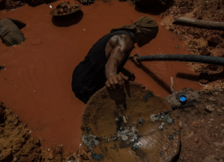 Dig, baby, dig Un minatore illegale in cerca d'oro nella valle dell'Orinoco