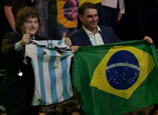 Boludo o pelotudo?